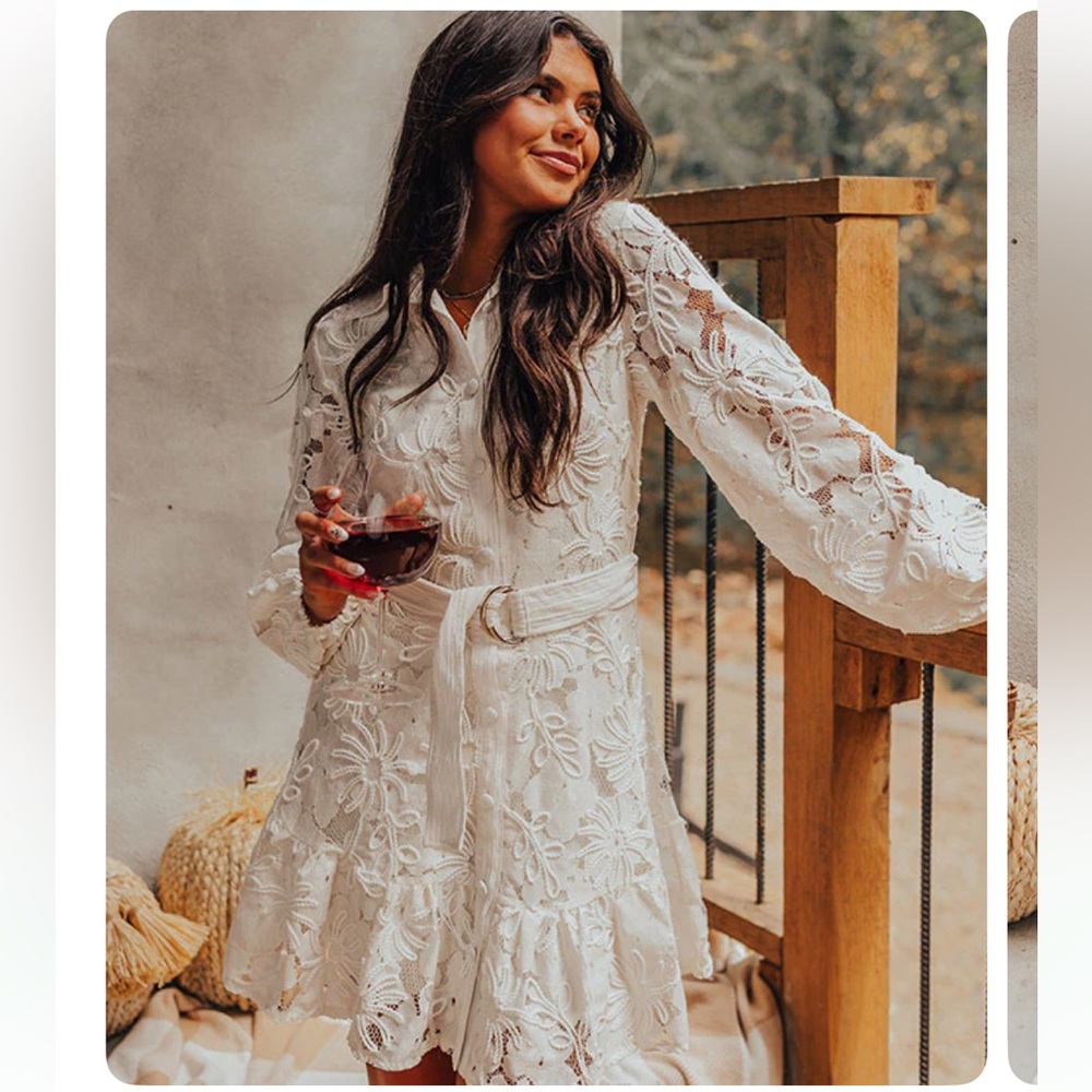 French Feelings Embroidered Mini Dress